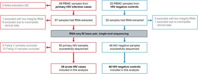 Gene dysregulation in acute HIV-1 infection – early transcriptomic analysis reveals the crucial biological functions affected